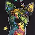 anna kowalska - Colorful doggy