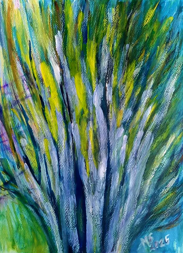 Marzena Salwowska - Song of the Tall Trees