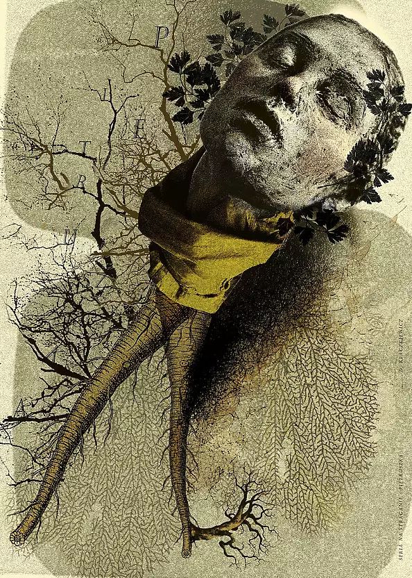 Damian Kłaczkiewicz - Pietruszka