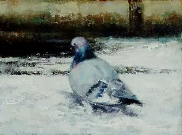 Piotr Pilawa - Dove in the snow