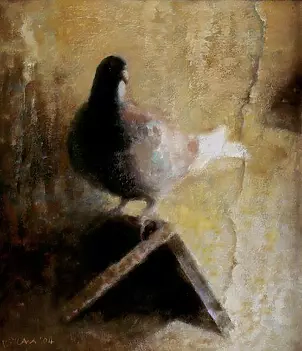 Piotr Pilawa - Pigeon