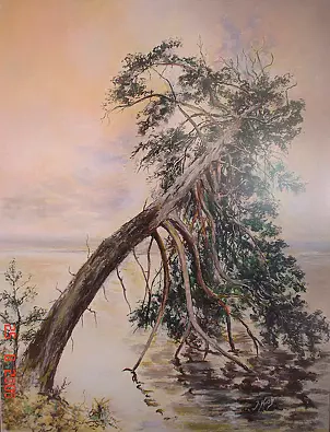 Janusz Kawecki - Sosna nad jeziorem wg Fałata