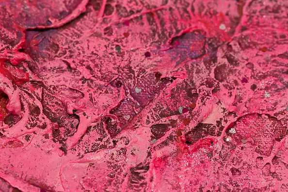 Pamela Rys - Pink Dreams