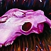Mariusz Krzysztof Aniśko - Pink Skull