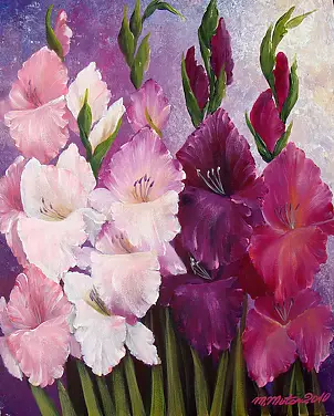   - pink gladioli