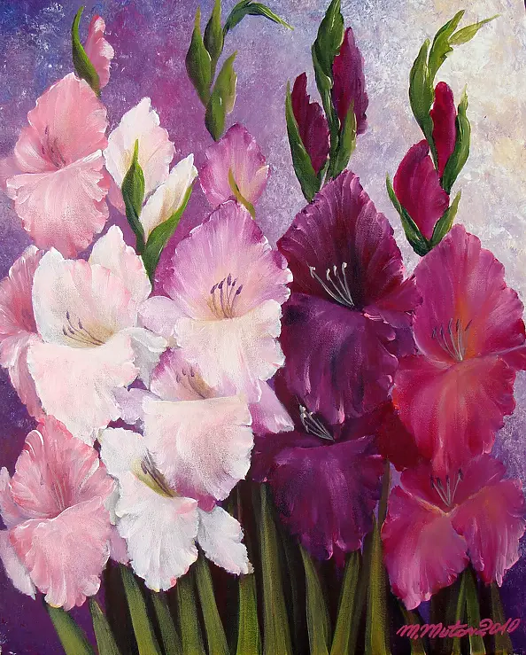 Małgorzata Mutor - pink gladioli