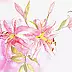 Zdzisław Rutkowski - pink lilies