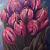 Małgorzata Mutor -  tulipes roses Carolina