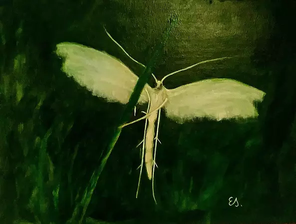 Ewa Lidia Sokołowska - Piórolot