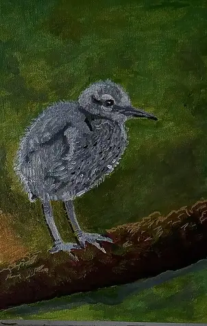 Agata Rak - Pulcino di airone