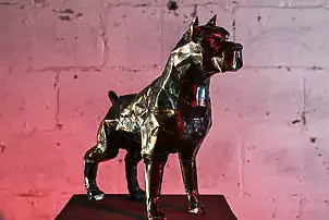 Dawid Rogiński - Pitbull