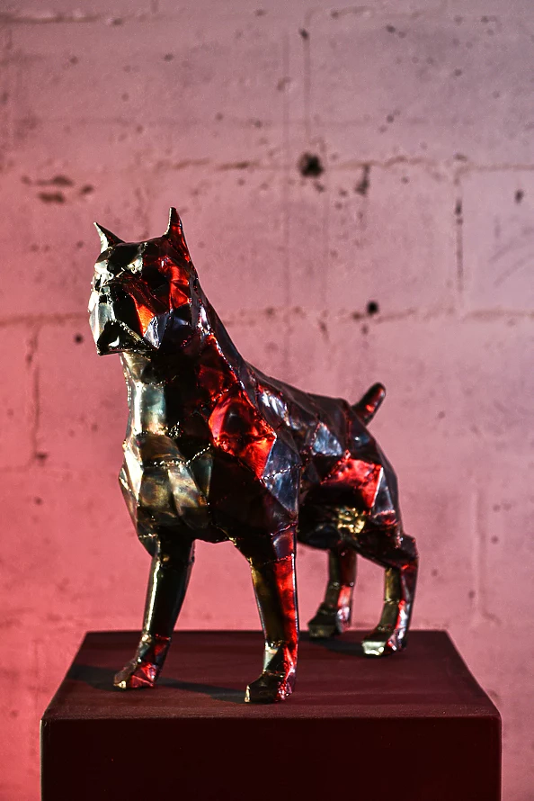 Dawid Rogiński - Pitbull