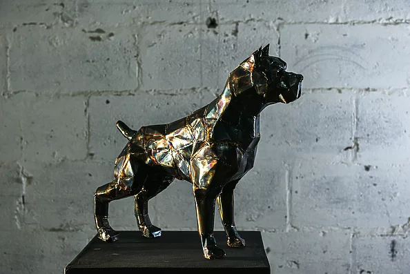 Dawid Rogiński - Pitbull