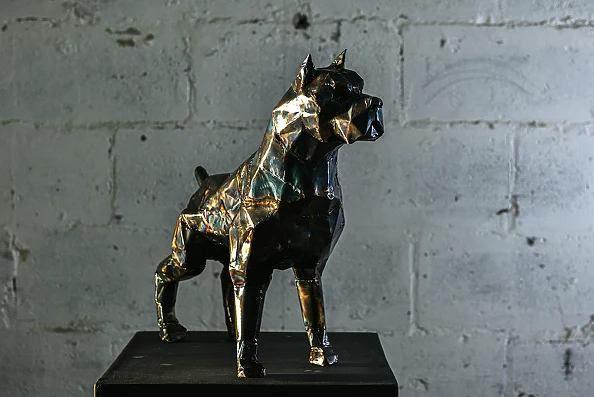 Dawid Rogiński - Pitbull