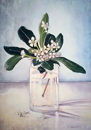 Luigi Abbattista - цветы Pittosporum