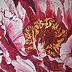 LUCYNA Wiech - Peony