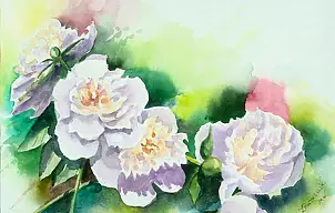 Zdzisław Rutkowski - Peonies X