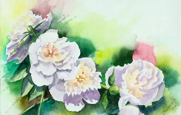 Zdzisław Rutkowski - Piwonie X