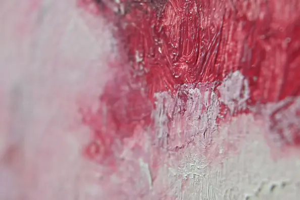 Agnieszka Długołęcka - Piwonie (C1)