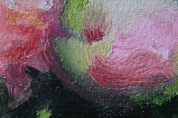 Agnieszka Długołęcka - Piwonie (C1)