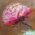 Bożena Mozolewska - Peonies
