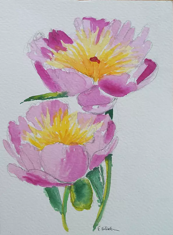 Ewa Słodzińska - Peonies