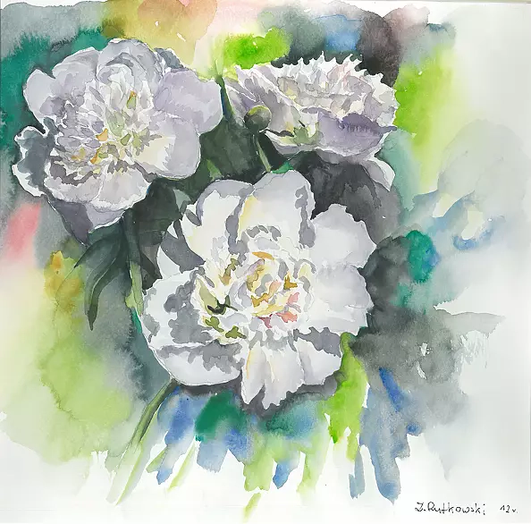 Zdzisław Rutkowski - Piwonie - nowe