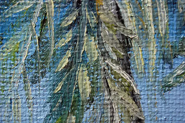 Amelia Augustyn - Beach