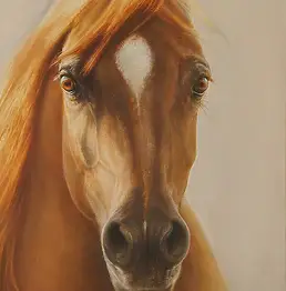 Marzena Zuk, пламя, Масляная картина - холст, 40 x 50