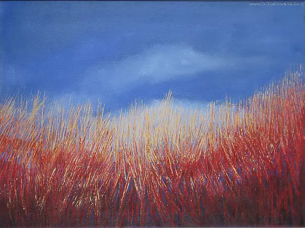 Joanna Brzostowska - Flaming and soothing