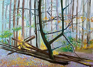 Jadwiga Rudnicka - burning autumn