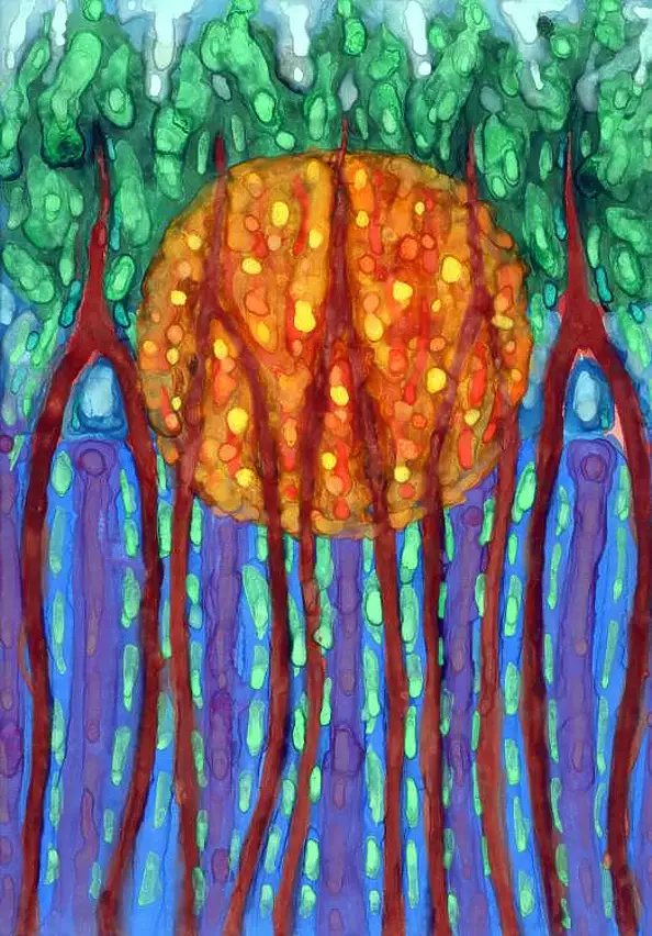 Wojtek Kowalski - Płynę Do Fioletu