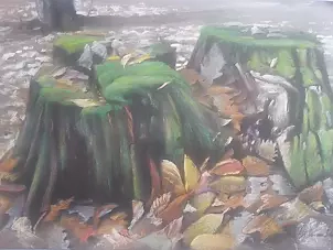 Andrzej Siewierski - trunks of trees