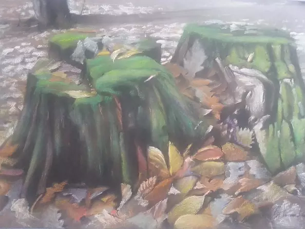 Andrzej Siewierski - trunks of trees