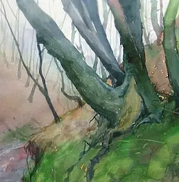 Krzysztof Michalski, Pnie drzew przy wąwozie, Akwarele - papier, 38 x 28