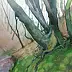 Krzysztof Michalski - Tree trunks at the ravine