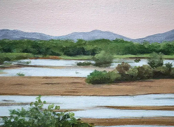 Nataliya Bagatskaya - After the Rain...