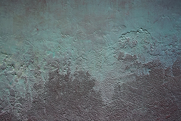 Kamila Ossowska - Glimpses of reality