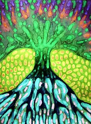 Wojtek Kowalski - Under the Shield of the Night