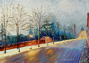   - Driveway in Monte Berico (VI)