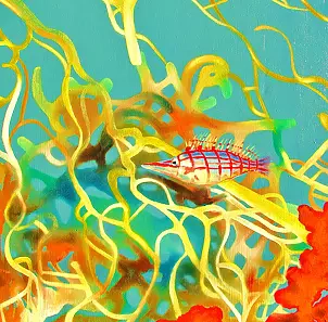 Padovani Nicolas - Poisson corail