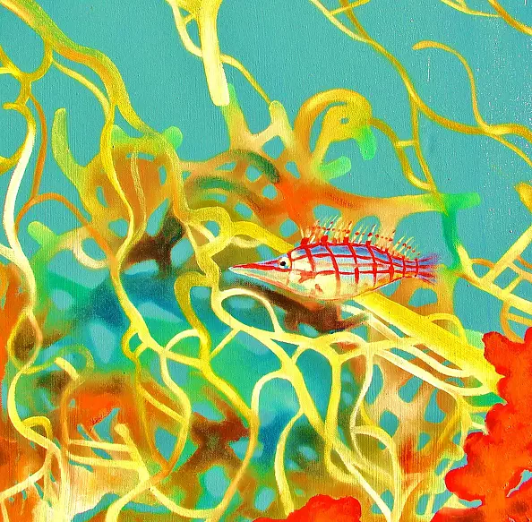 Padovani Nicolas - Poisson corail