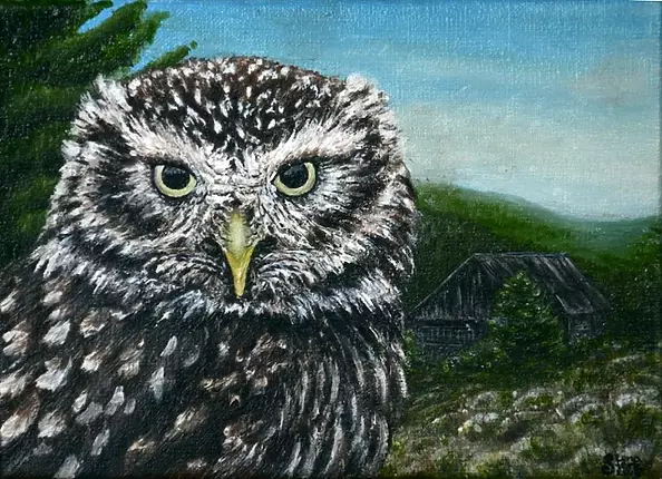 Lena Sterk - Pójdźka