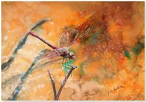 Joanna Magdalena - Temptation