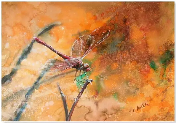 Joanna Magdalena - Pokusa