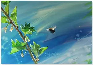 Joanna Magdalena - Temptation