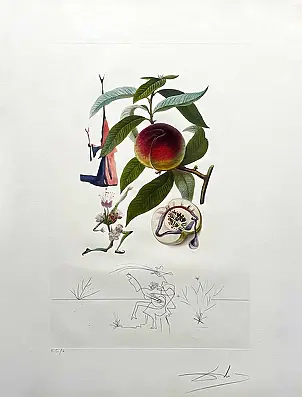 Salvador Dali - The Pending Peach, 1969