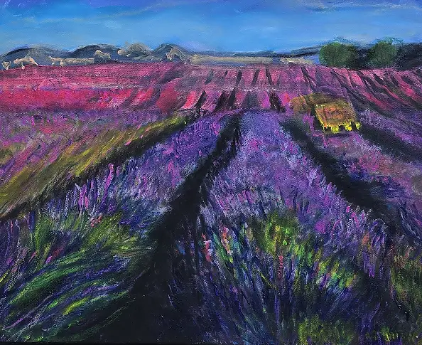 Krystyna Mościszko, Лавандовые поля, Акрилова картина - , 50 x 40