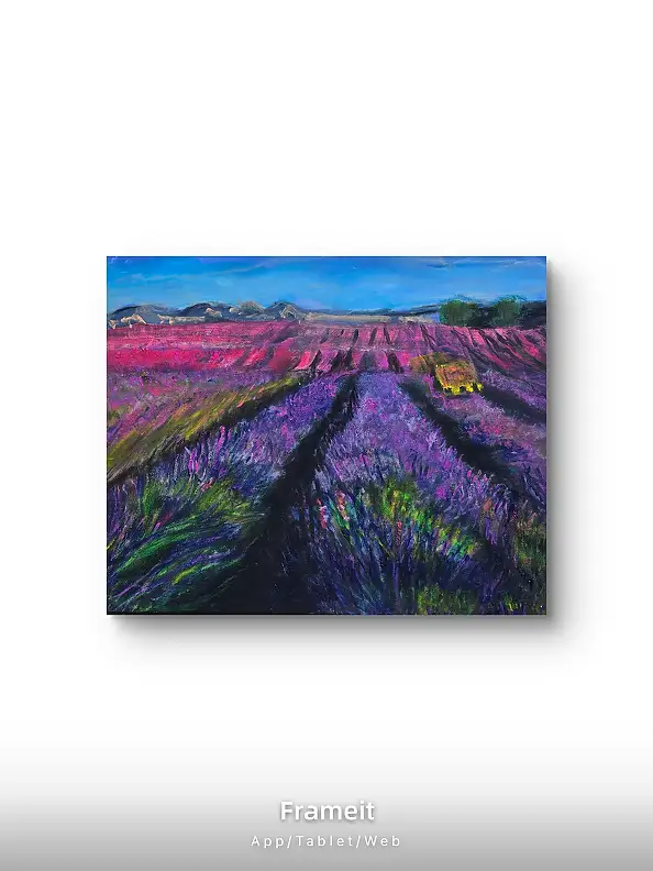 Krystyna Mościszko, Лавандовые поля, Акрилова картина - , 50 x 40