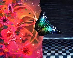 Agnieszka Osak - Connection